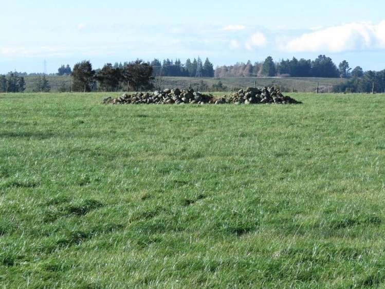 1248 Peel Forest Road Mesopotamia_16