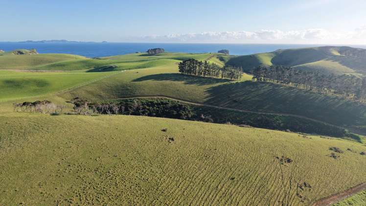 1811 Rangihoua Road Kerikeri_30