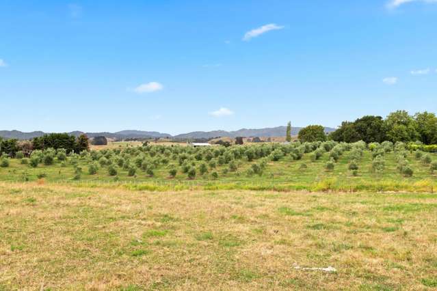 24 Miller Road Mangatangi_2