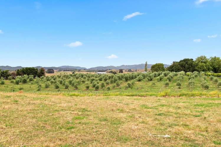 24 Miller Road Mangatangi_2