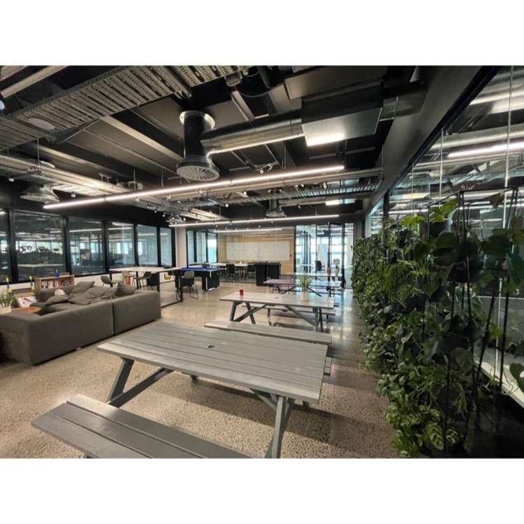 99 Khyber Pass Road Grafton_3