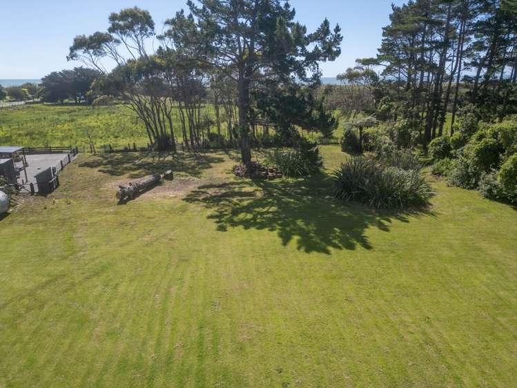 Pandora Avenue Camerons_19