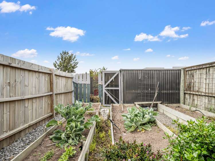 14 Clifford Place Amberley_11