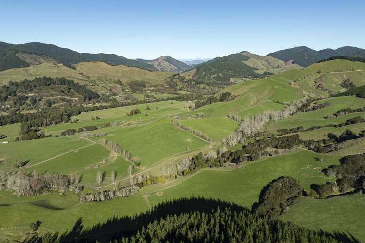 Graham Valley Road Motueka Valley_7
