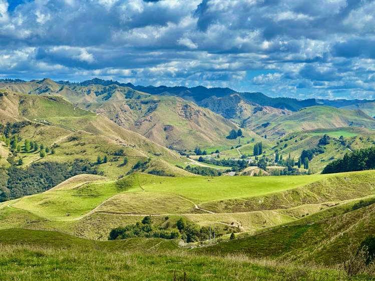 2559 Parapara Road, SH 4 Raetihi Ruapehu Rural Property For Sale