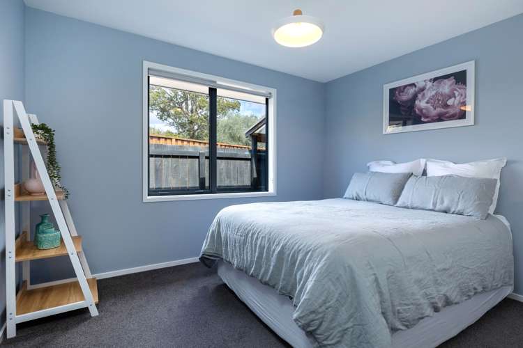 84a Alma Street Renwick_22