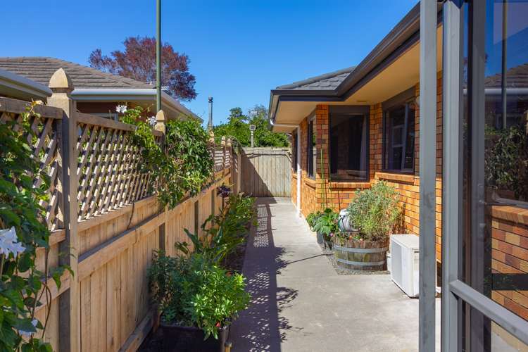 7 Rarawa Place Vogeltown_12