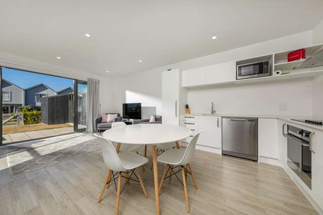 1 Mount Nicholas Avenue Wanaka_3