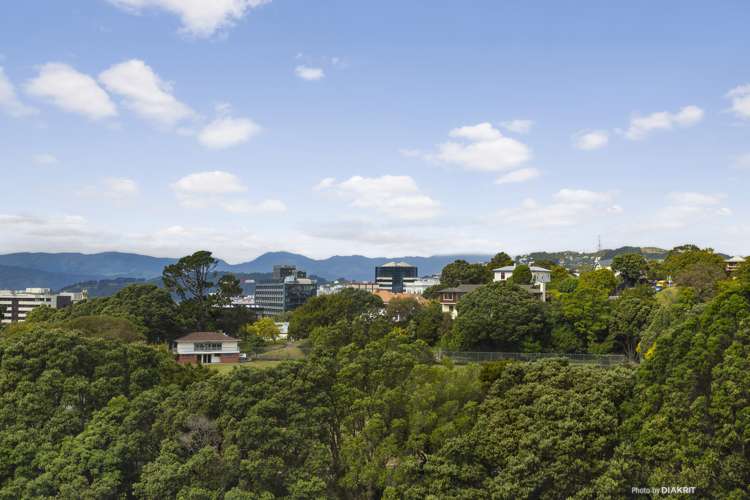 4/24 Patanga Crescent Thorndon_15