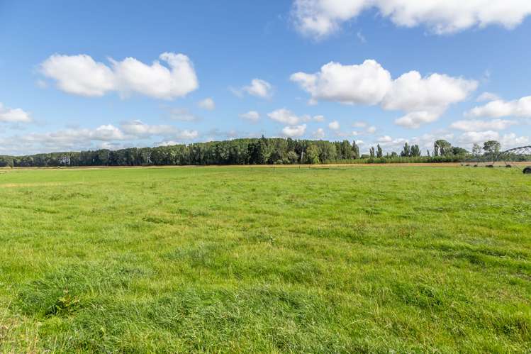 589 Coutts Island Road Coutts Island_26