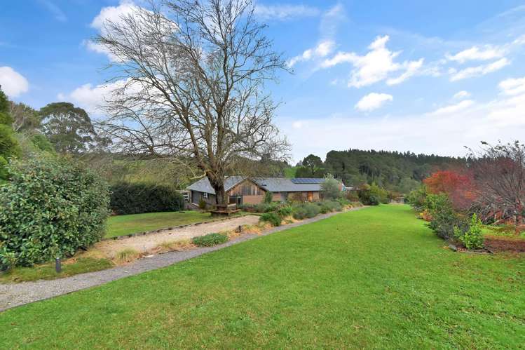 1881G State Highway 29 Lower Kaimai_12