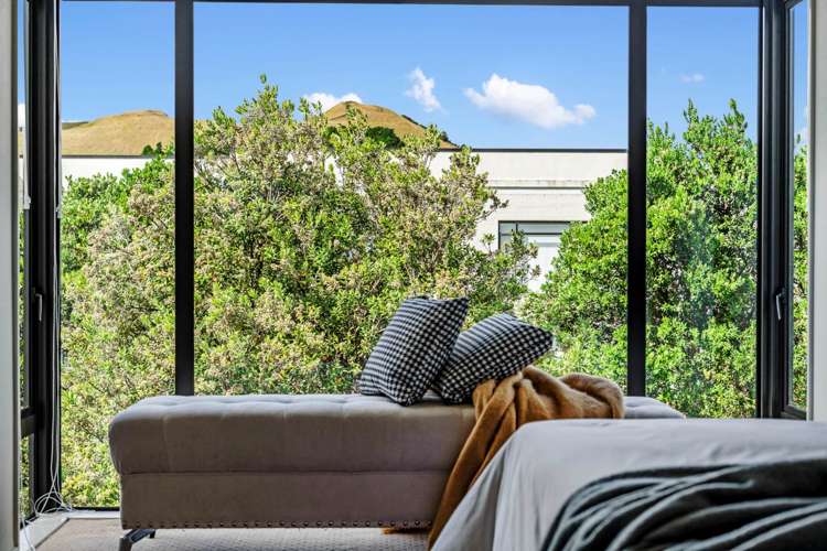 75 Bluegrey Avenue Stonefields_3