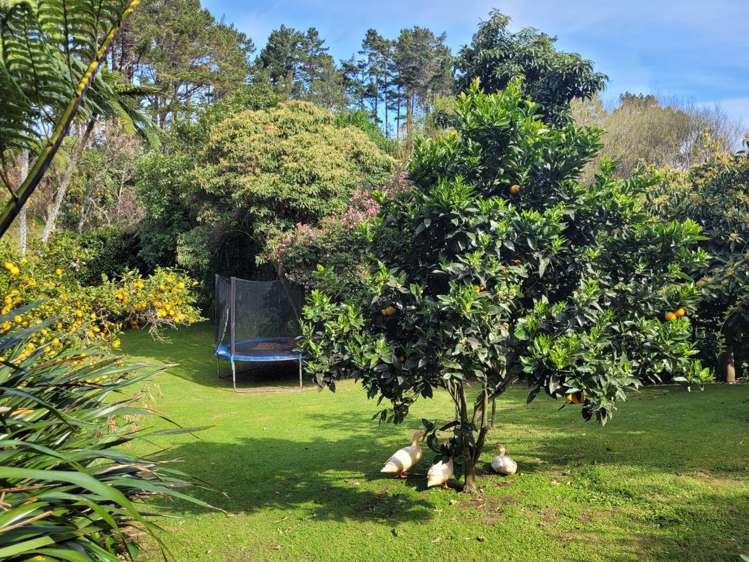 15 Linda Street Oakura_14