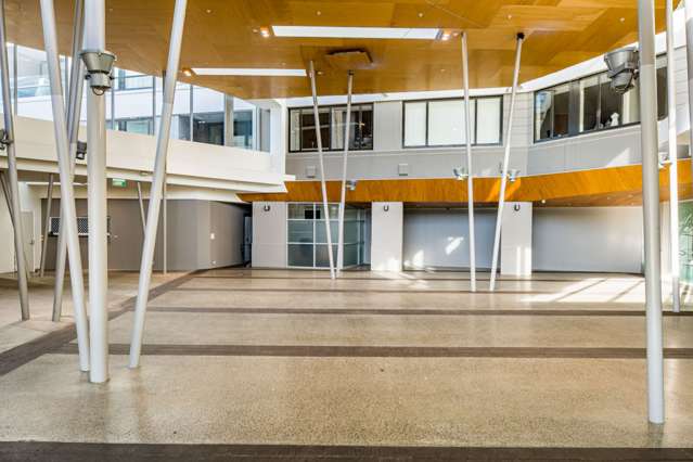 22 Herd Street Te Aro_4