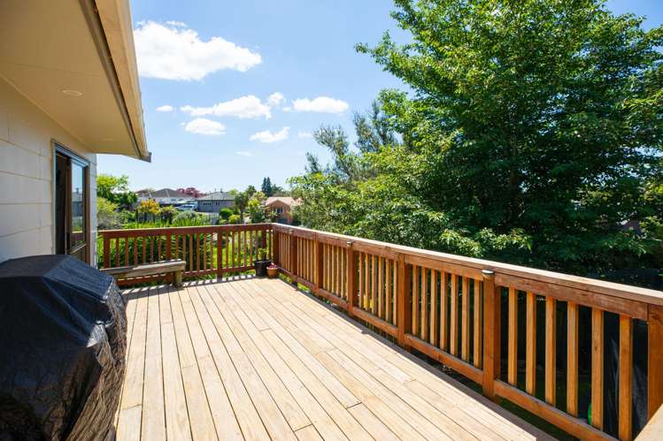 116 Ascot Place Te Awamutu_2