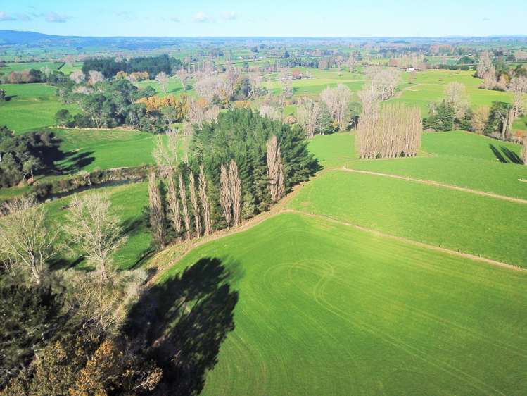 240 Bayly Road South Waikato_22