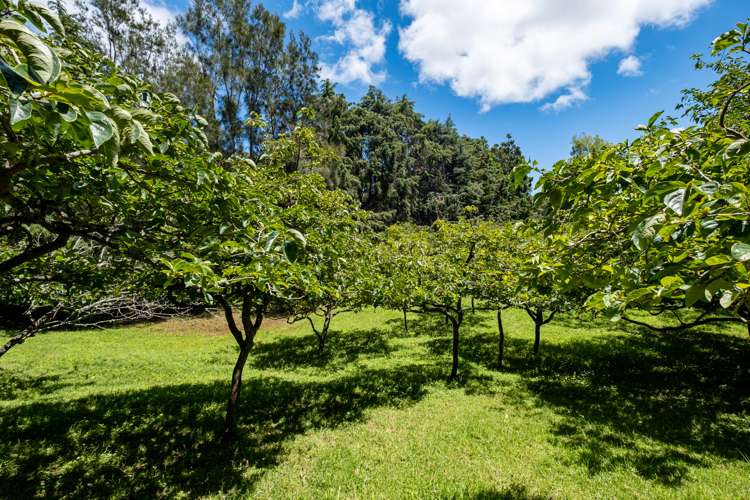 605 Takahue Road Takahue_25