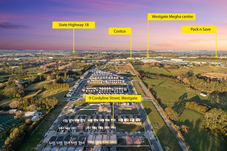 9 Cordyline Street Westgate_10