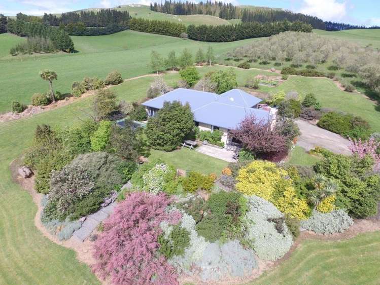 31 Kellaway Terrace Waikari_19