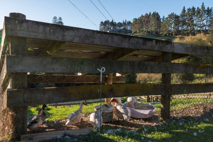 896 Haruru Road Wainui_35