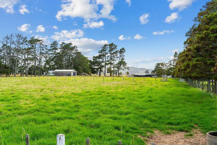 1091 Pouto Road Dargaville_30