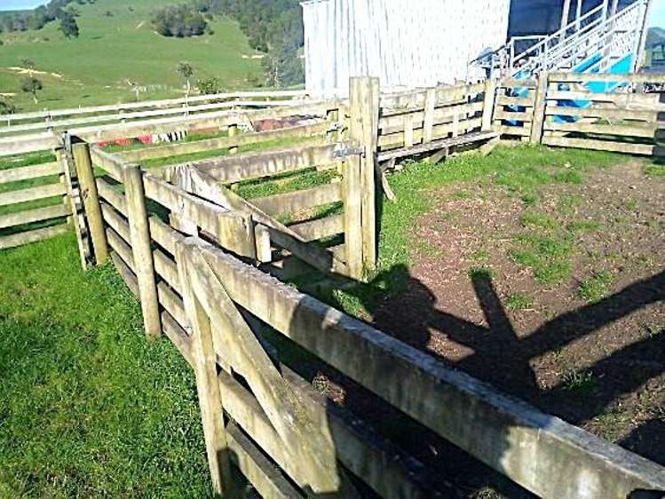 435 Parahi Road Ruawai_15