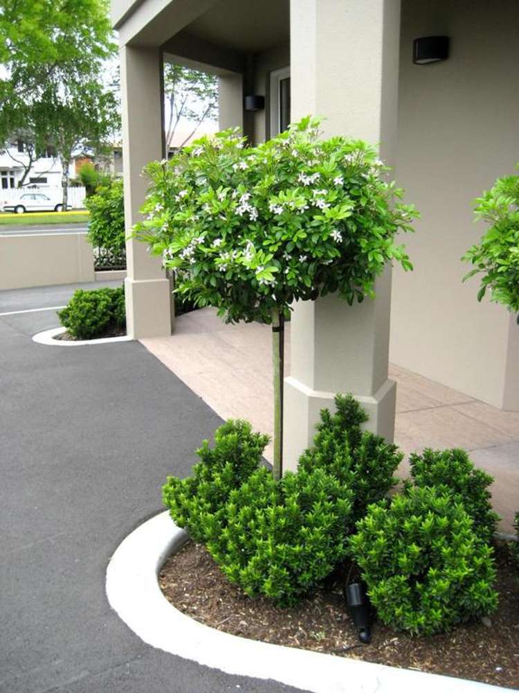 Address withheld Christchurch Central_14