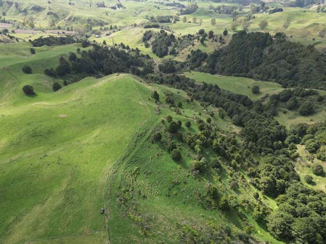 Paraketu Road Waimiha_2