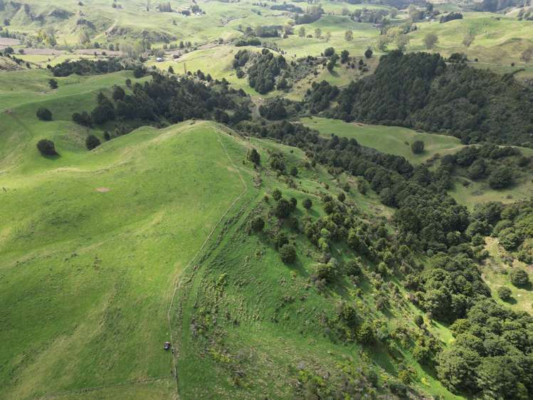 Paraketu Road Waimiha_2