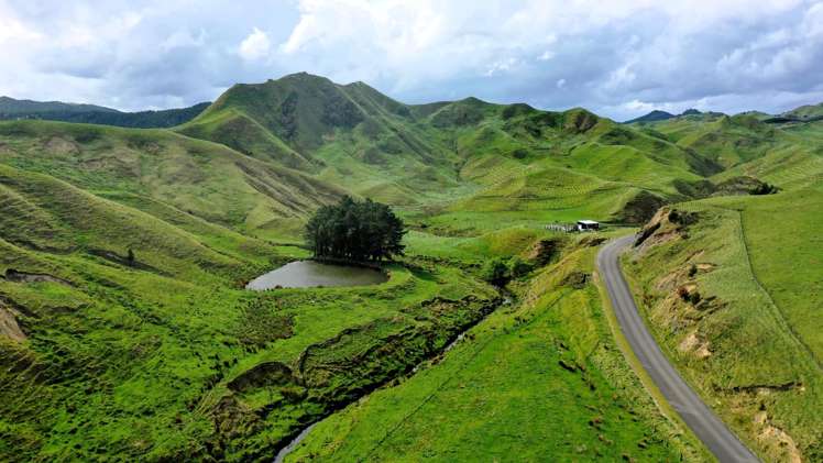 2269 Coast Road Pongaroa_14