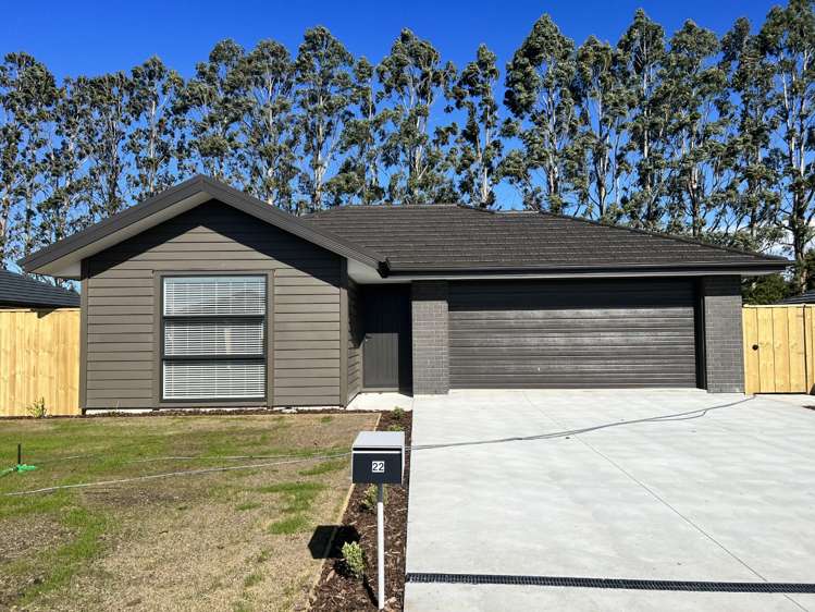 22 Cooney Avenue Darfield_13