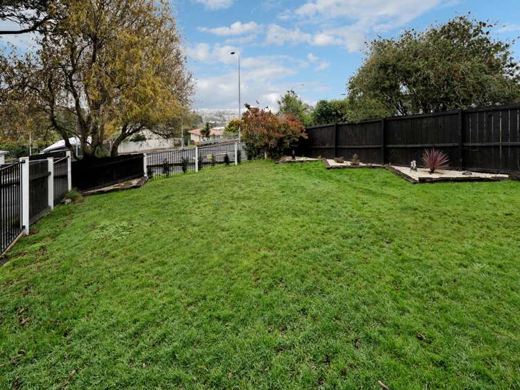 40 Tiverton Road Avondale_12