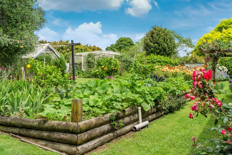 769 No 1 Road Te Puke_32