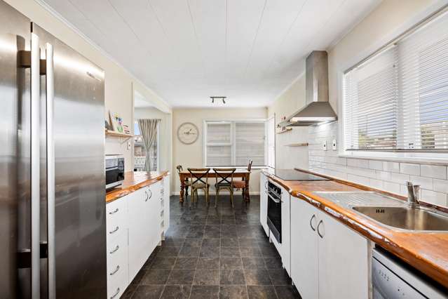 23 Southwark Avenue Tamatea_3