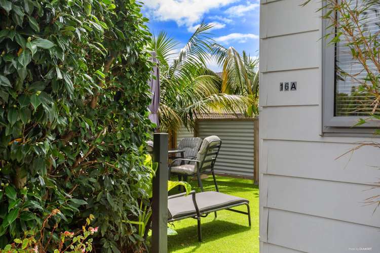 16 Nereus Place Mairangi Bay_15
