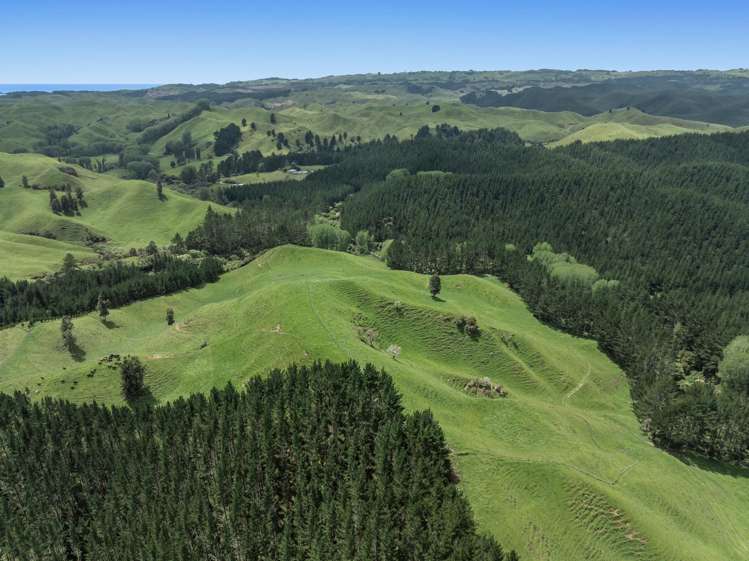 26 Settlement Road Pikowai_22