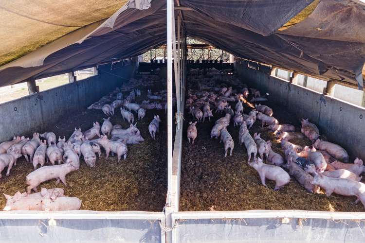 319 Methven Chertsey Road Methven_12