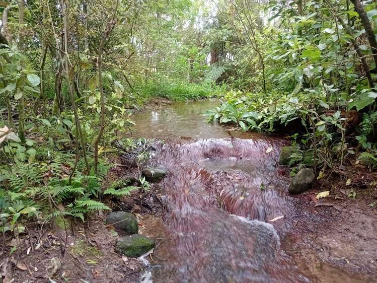 44 Margaret Street Shannon_18