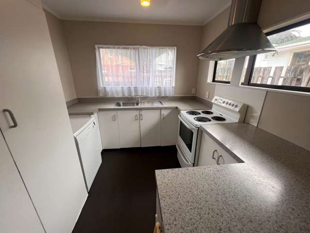 Subritzky Avenue Mt Roskill_3