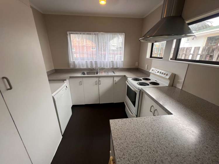 Subritzky Avenue Mt Roskill_2