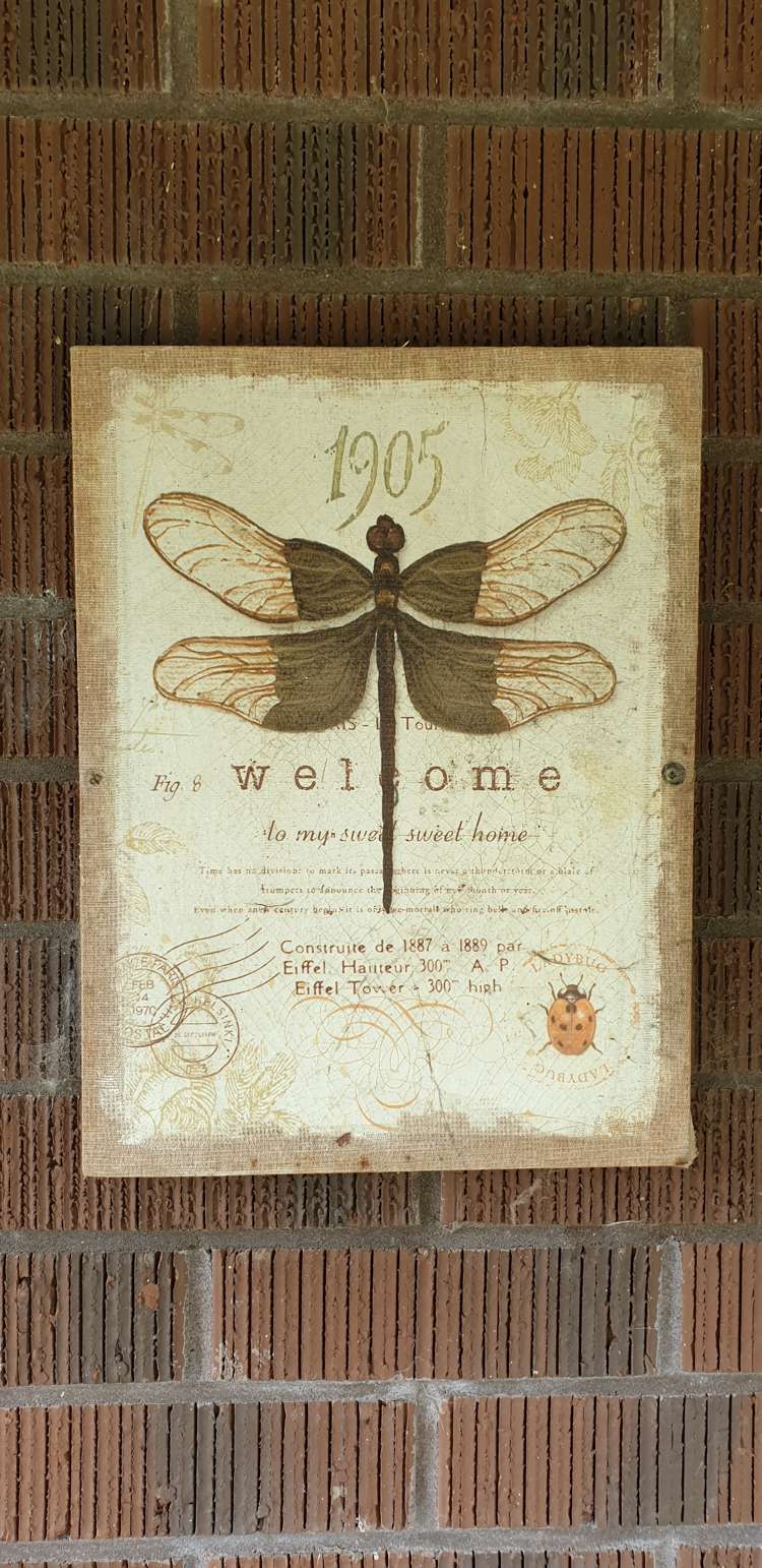 95 Kauaeranga Valley Road Thames_4