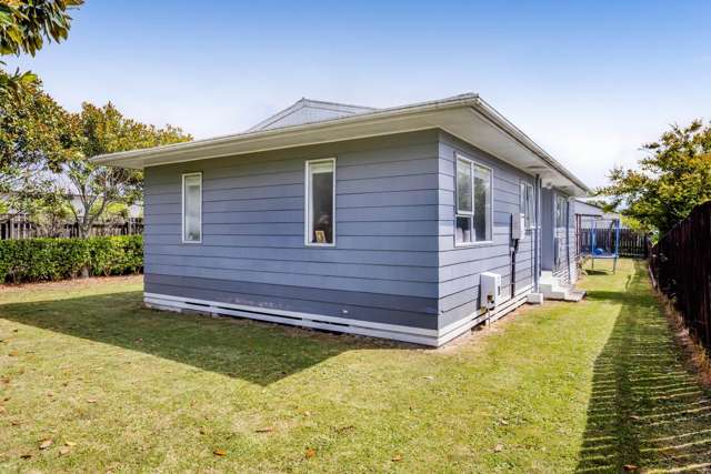 164 Rata Street Inglewood_3