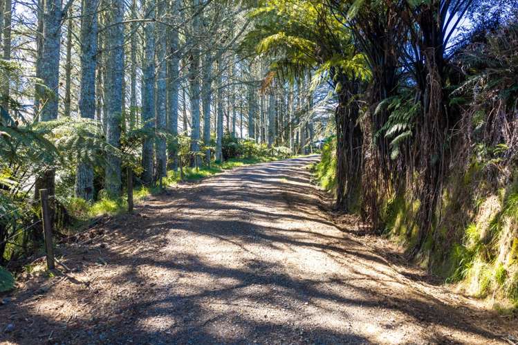 656 Waotu Road South Putāruru_20