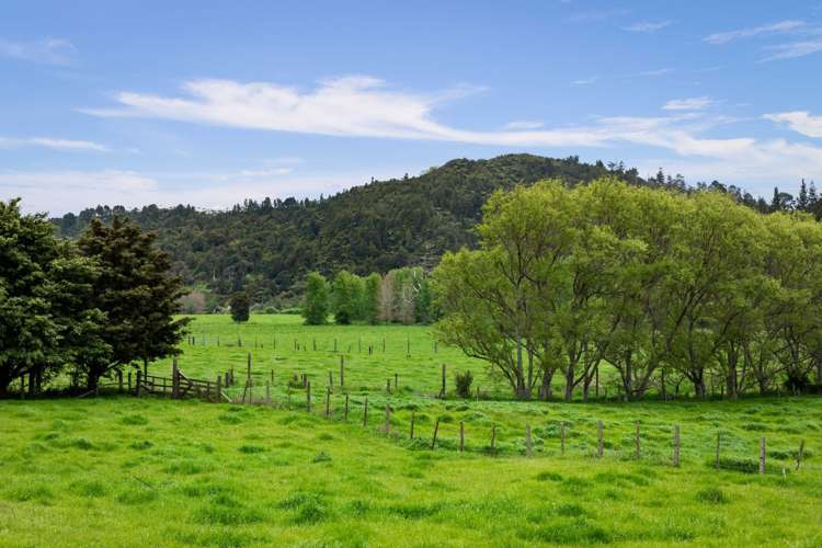 591 Waitawheta Road Waihi_20