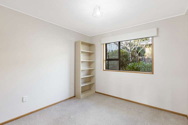 24d Shand Street Green Island_5