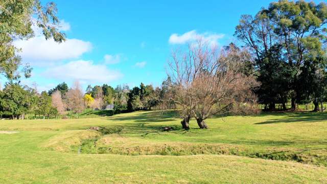 89 Victoria Avenue Dannevirke_1