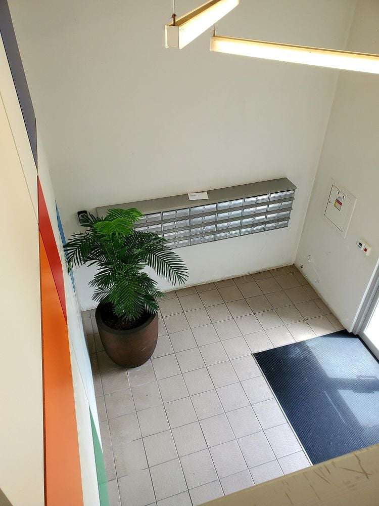 15 Minnie Street Eden Terrace_13