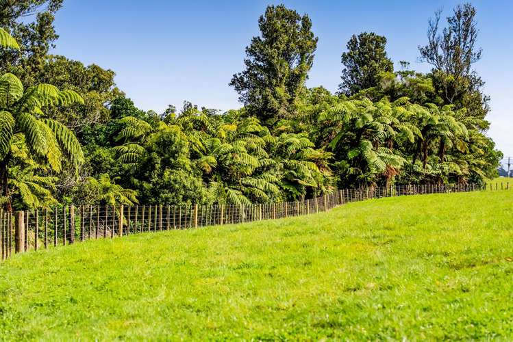 Weld Road Upper Oakura_18