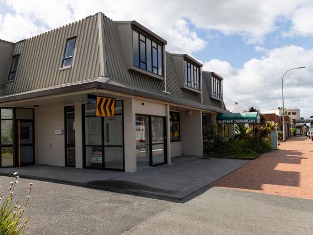 22 Rust Avenue Whangarei_1