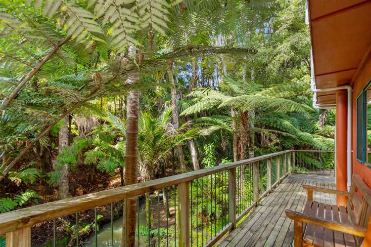 74 Grassmere Road Henderson Valley_23